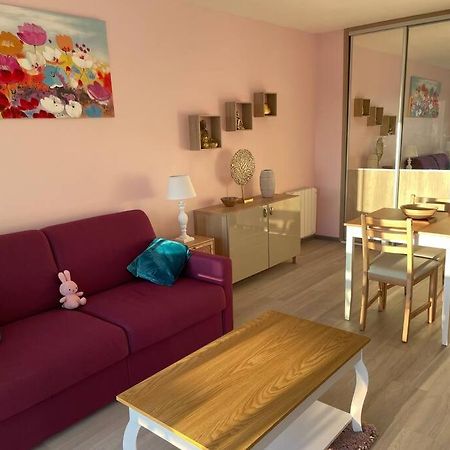 Petit Studio Zen Avec Parking Gratuit Reserve Ульгат Екстер'єр фото